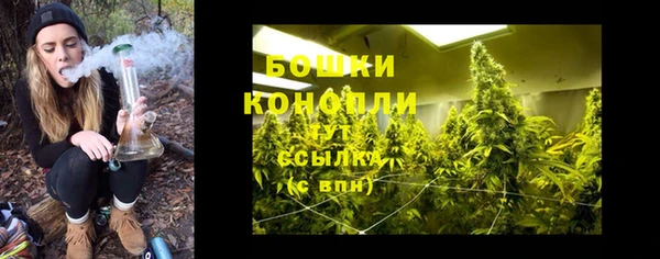 шишки Белоозёрский
