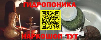 гидра Волгодонск