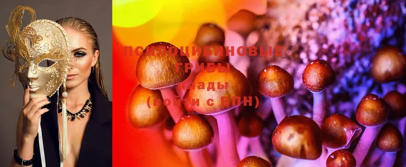 закладка  Вятские Поляны  Псилоцибиновые грибы MAGIC MUSHROOMS 